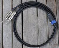 Bridging Speaker Cables for Walter Woods Amps